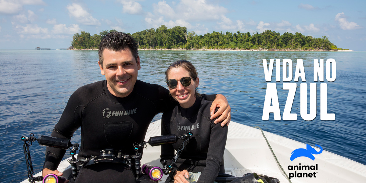 Vida no Azul : biólogos brasileiros estreiam série no Animal Planet